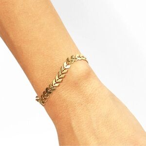 Chevron bracket/anklet